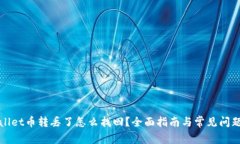 TPWallet币转丢了怎么找回？全面指南与常见问题解