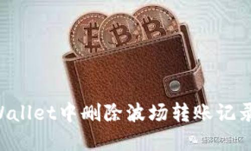 如何在TPWallet中删除波场转账记录：完整指南