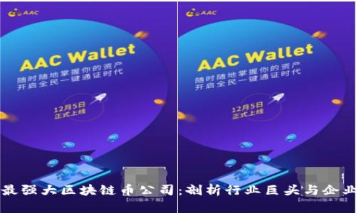 中国最强大区块链币公司：剖析行业巨头与企业未来