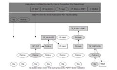 TPWallet添加合约后未显示图标的解决方案与常见问