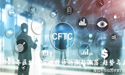 2022-2023年区块链与比特币的潮起潮落：趋势与未来展望
