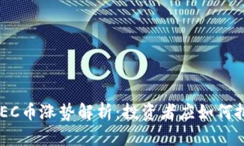 区块链ZEC币涨势解析：投资者应如何把握机会？