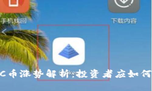 区块链ZEC币涨势解析：投资者应如何把握机会？