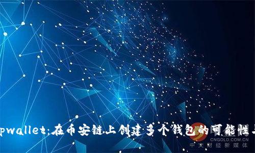 探索Tpwallet：在币安链上创建多个钱包的可能性与优势