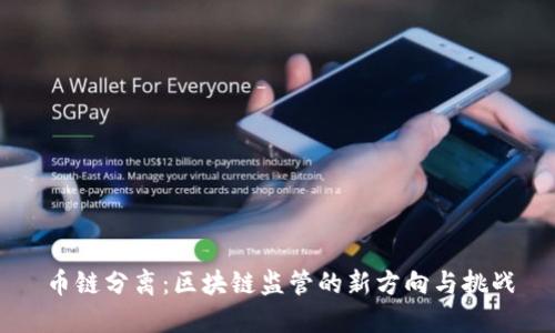 币链分离：区块链监管的新方向与挑战
