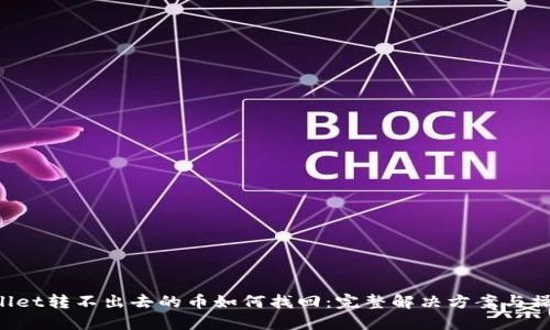  TPWallet转不出去的币如何找回：完整解决方案与操作指南