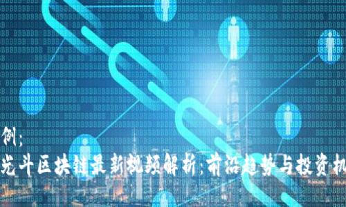 示例：
李光斗区块链最新视频解析：前沿趋势与投资机遇