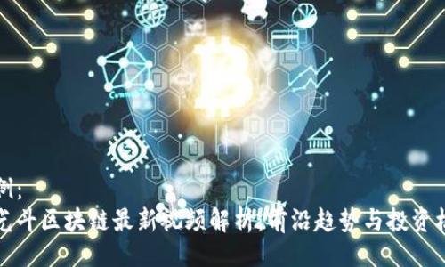 示例：
李光斗区块链最新视频解析：前沿趋势与投资机遇
