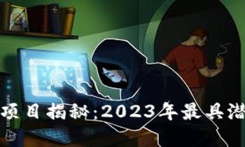 区块链赚币的项目揭秘：2023年最具潜力的投资机会