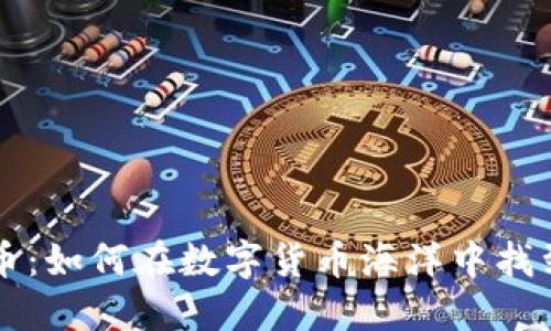 区块链找币：如何在数字货币海洋中找到可靠资产