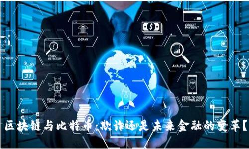 区块链与比特币：欺诈还是未来金融的变革？