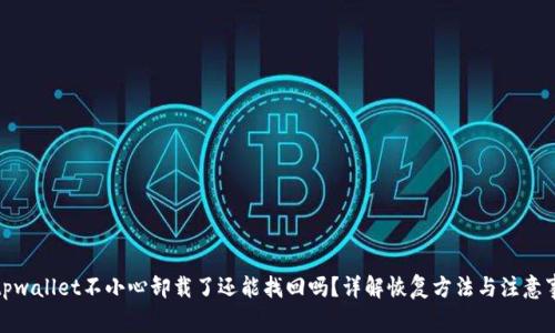 : tpwallet不小心卸载了还能找回吗？详解恢复方法与注意事项